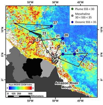 Mesozooplankton Graze on Cyanobacteria in the <mark class="highlighted">Amazon River Plume</mark> and Western Tropical North Atlantic